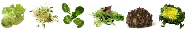 salades
